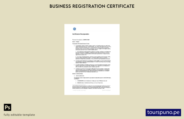 listo para imprimir plantilla de certificado de incorporación de EE. UU. Nueva Y